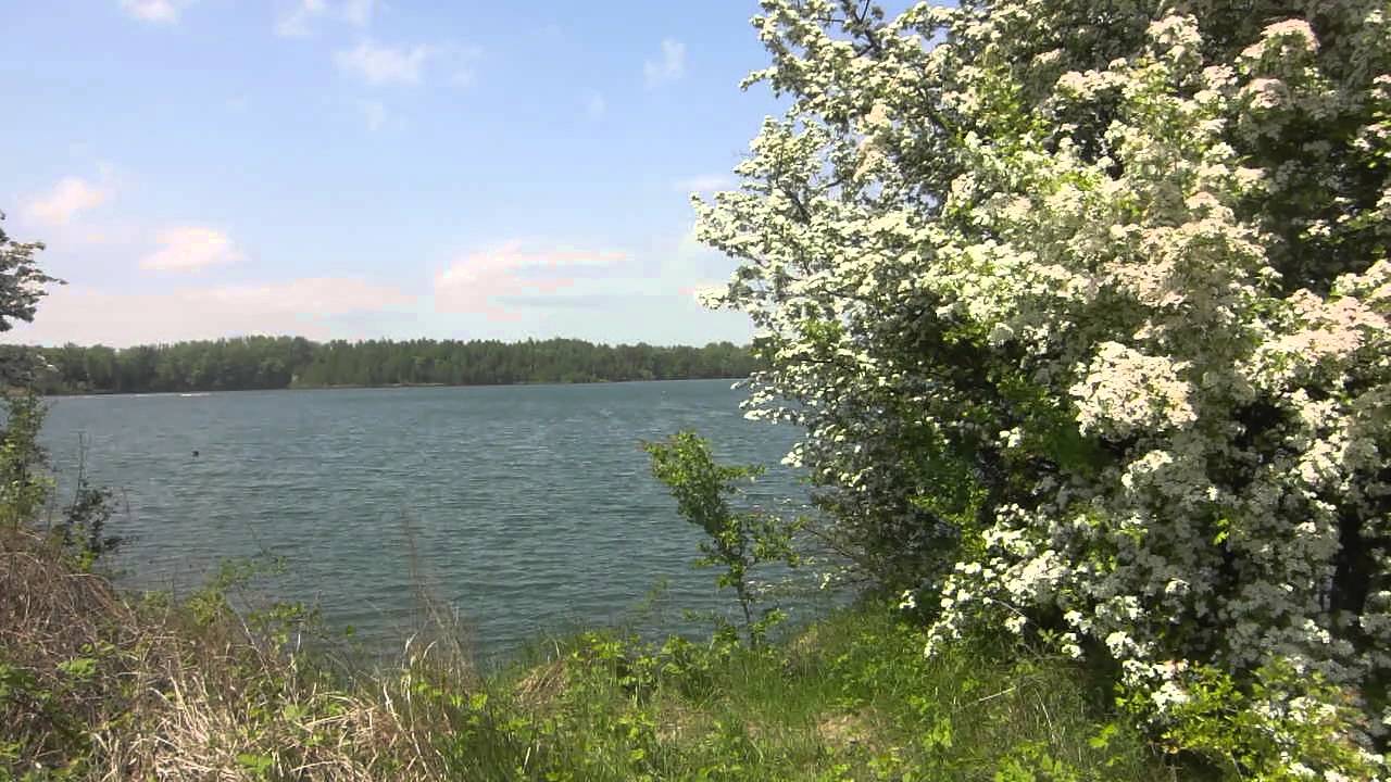 Greg Hvnsen -  What Would You Have Me Do (Den 17.5.2015)