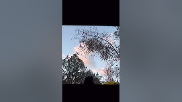 Folks when they see my can am renegade xmr 1000 #subscribe #shorts #fun #atvlifestyle #mud #trails