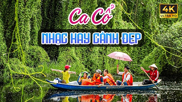 Ca Cổ Hơi Dài 1000 Chữ Ngắm Cảnh Đẹp Miền Tây - Ca Cổ Cải Lương Ru Ngủ Về Đêm Hay Nhất🌾Tân Cổ Dân Ca