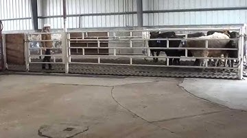 Working in a Bud Box