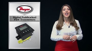 Series DFMT and DFMT2 Digital Paddlewheel Flow Transmitters