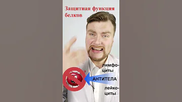 Защитная функция белков. ЕГЭ Биология. ЕГЭ 2021.