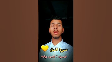 سورة النمل 🥰  #سورة_الحج #سورة_النمل #اسلام_صبحي #شارك_المنشور #سياحة #تلاوة #أناشيد_اسلامية #سحر