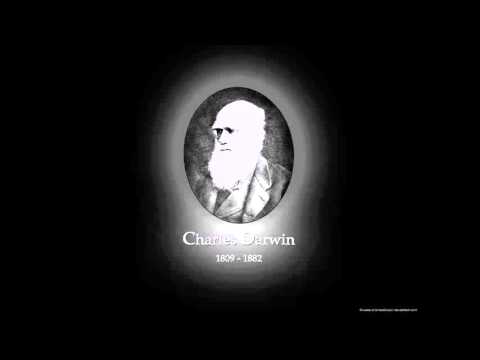 Video: Wo ist Darwin nicht hingegangen?