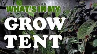 Come Visit My Grow Tent