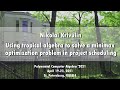 Using tropical algebra to solve a minimax optimization problem | Nikolai Krivulin