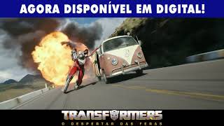 Transformers: O Despertar das Feras' ganha vídeo com bastidores das  gravações no Peru - Gamers & Games