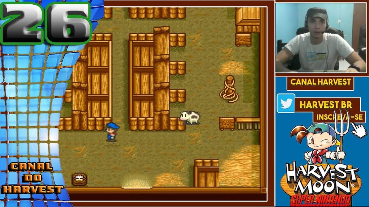 Harvest Moon: Cuidando dos animais - Nintendo Blast