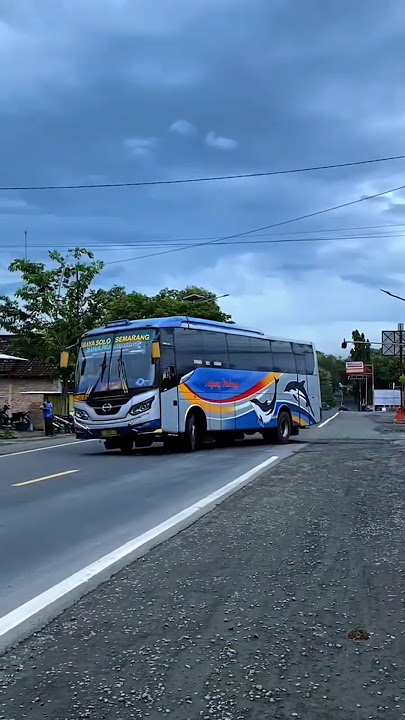 PESONA SUMBER GROUP #busindonesia #automobile #busmania #basuri #masukberanda
