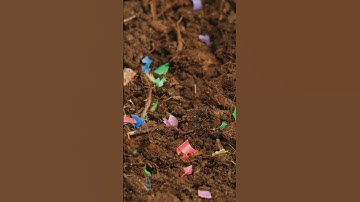 Revolutionary Method to Remove Microplastics from Water!