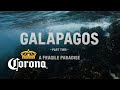 Galapagos  part two by antoine janssens