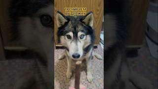 Джагер Пэсос