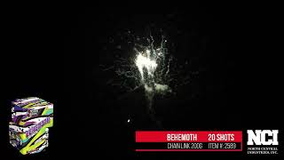Chain Link 200g Behemoth 20 shot