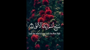 سورة الاعلي حالة واتس __ 🤍