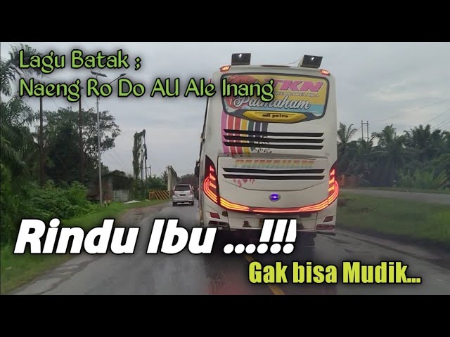 Naeng Ro Do AU Ale Inang Lagu Batak Sedih Untuk Anak Perantauan Spesial klip Bus PT PAIMAHAM class=