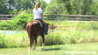 Sanjos Little Mate For Info, Price, Etc., Go To Our Website Valley View Ranch