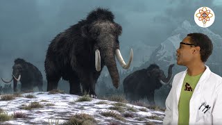 The SCIENCE RAP Show | Woolly Mammoth