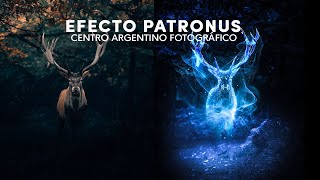 EFECTO PATRONUS