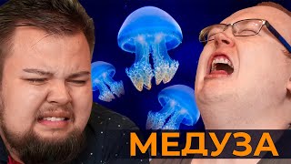 Пробуем живую МЕДУЗУ