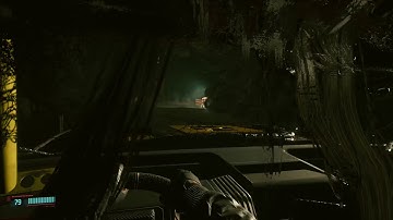 Panam, Inside Look (Cyberpunk 2077) Bug, Glitch