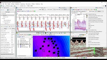 Launching a CV from a wellbore in different ESS Views [PRO TIP]