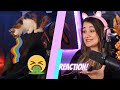 Kotzende Katzen auf @TwitchClipsGermany #hallo_alexa_ REAGIERT