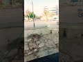 علاوي الشبح