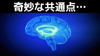 【謎】なぜサヴァン症候群の人々は特殊能力を保持しているのか？