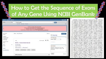 How to Download/Get Sequence of Any Gene Using NCBI GenBank