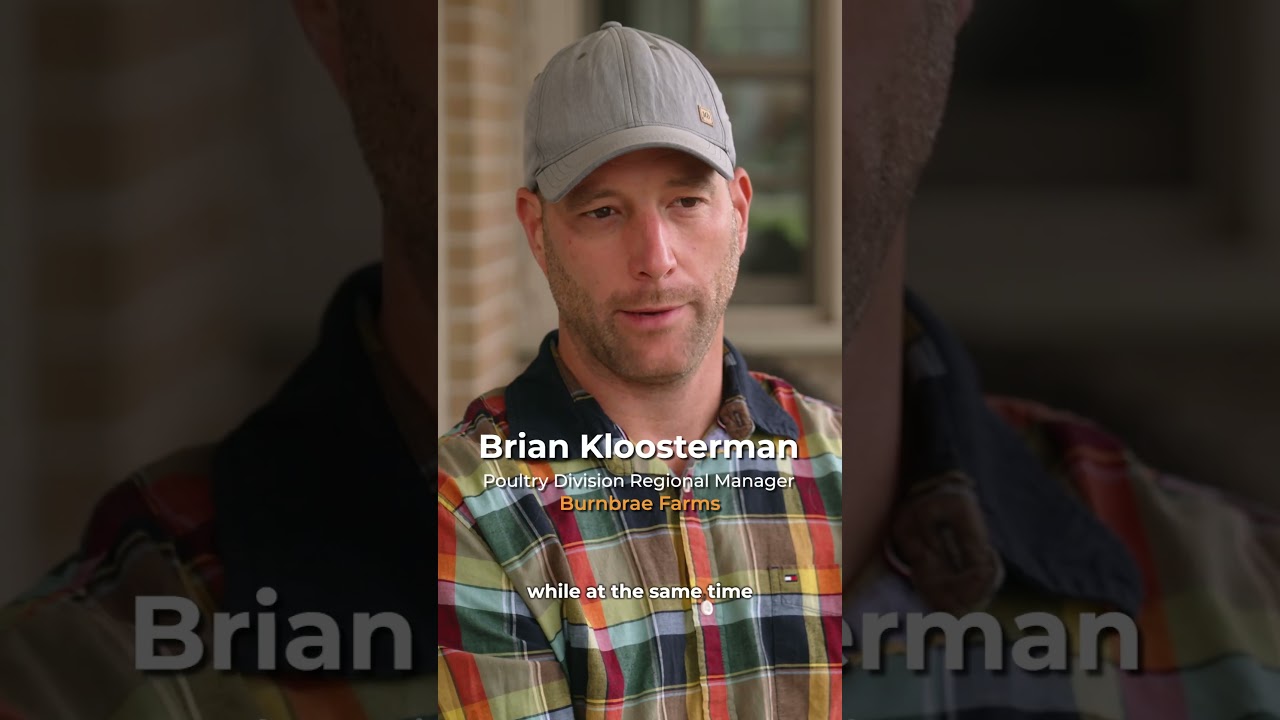 Features of Enriched Colony Hen Housing