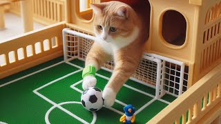 Cat loves to be a goalkeeper | daily cat vlog | cute cats Talu and Mindra are goal keeping #cat