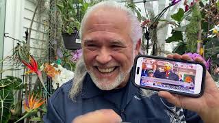 Frank262926rats Jumping Off The Ship