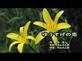 森進一 ゆうすげの恋 カラオケ <歌詞入り>