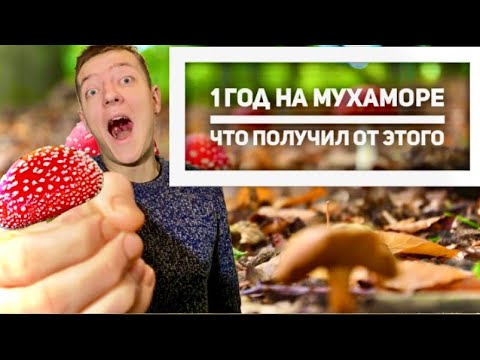 Микродозинг Мухомора.. Что со мной случилось !!