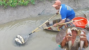 kich cá vuông tôm tôm bún như mưa lên toàn cá lóc khủng | Săn Bắt Kiên Giang