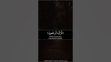 ﴿كُلُّ نَفسٍ ذائِقَةُ المَوتِ ثُمَّ إِلَينا تُرجَعونَ﴾ | تلاوة خاشعة بصوت الشيخ عبدالباسط عبدالصمد