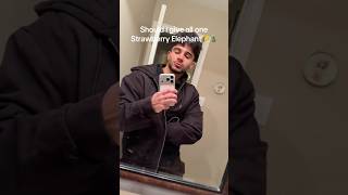 Who Will Have Strawberry Elephant