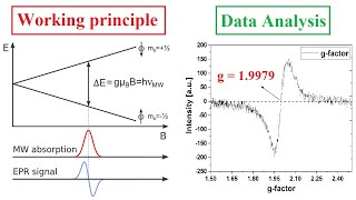 Electron paramagnetic resonance data analysis (Calculation of g-factor) - 21