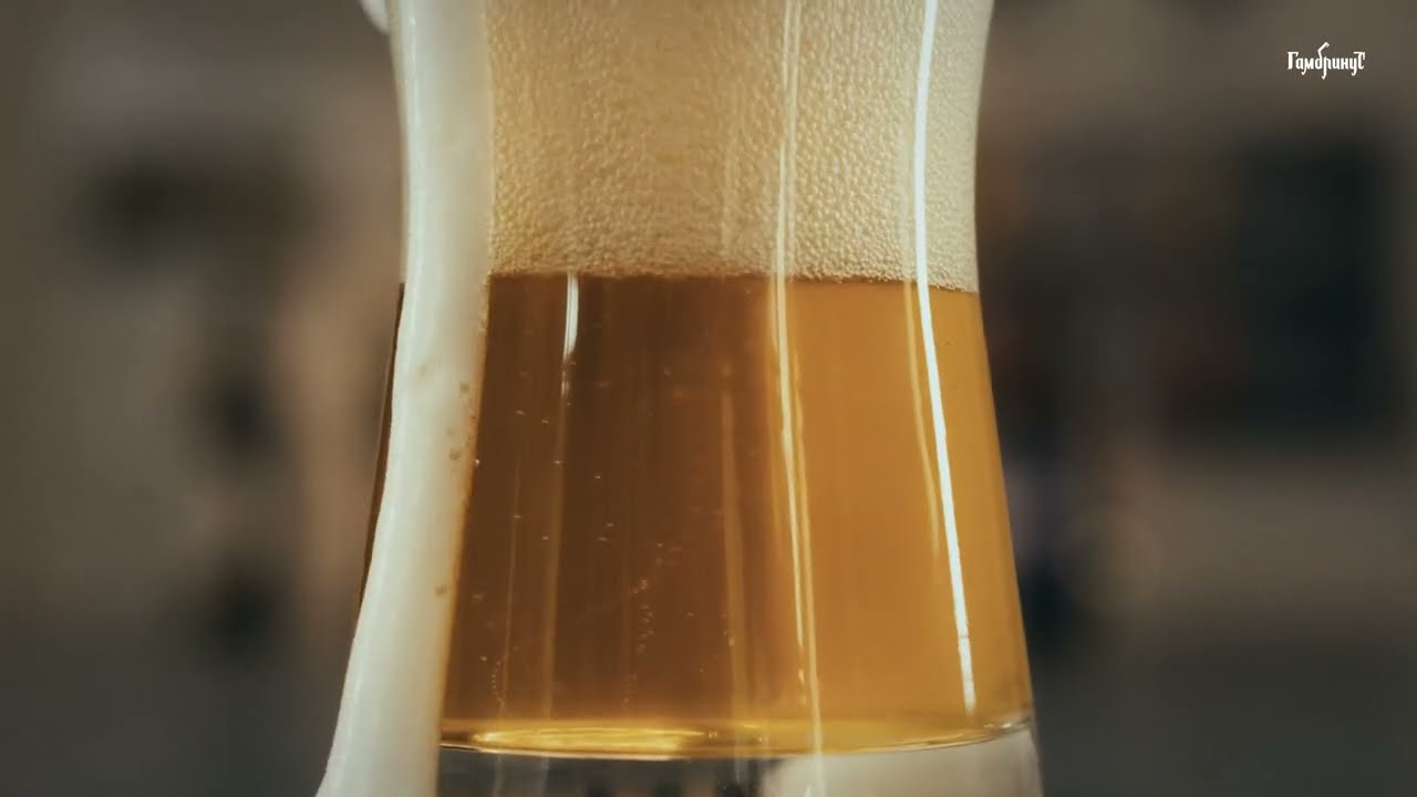 Гамбринус — як народжується чесне пиво | Від заводу до келиха