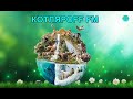 КОТЛЯРОFF FM (23.04. 2021) 21+ Рептильные клетки лазяют в мозгах.