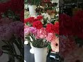 Goździki.(carnation flowers)#nature #love #flowers #music #