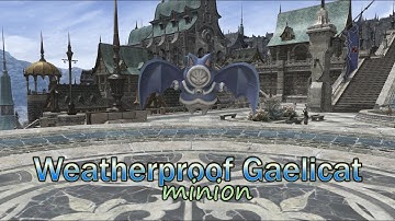 FFXIV: Weatherproof Gaelicat Minion