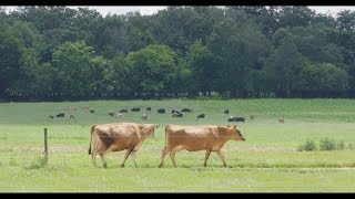 2017 Agricultural Environmental Award :: Cindale Farms