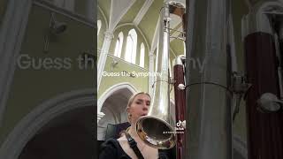 Guess The Symphony. Resimi