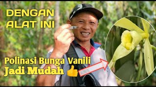 Easy Way to Pollinate Vanilla Flowers to Become Fruit||Bulukumba Millennial Farmers