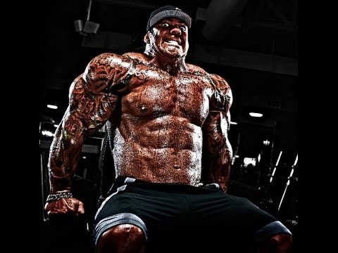 Image result for rich piana motivation