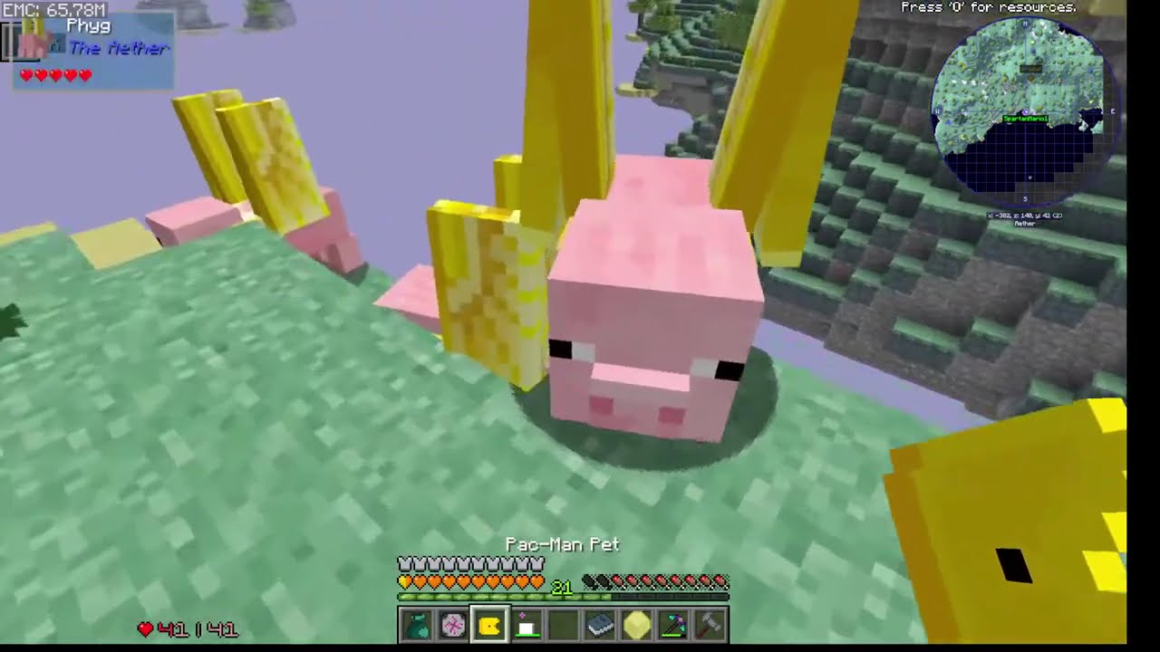 Insanecraft Modded Minecraft Modpack and quite possibly enter the gungeon