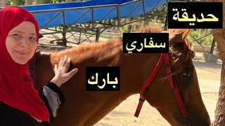 حديقة سفاري بارك ، رحلة سعيدة إلي حديقة سفاري بارك في الجيزة 😍