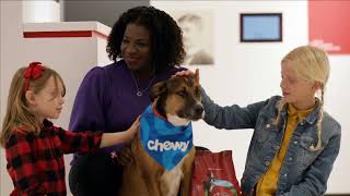 #PurinaInnovation - Helping Pets Live Better, Longer Lives | Purina by Purina 1,254 views 1 year ago 1 minute, 24 seconds