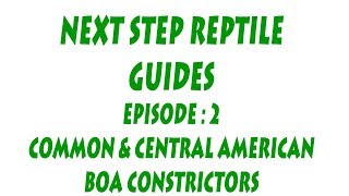 S'N'A Intermediate Series: Episode 2  Common & Central American Boas